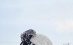 女女开车车好快的车车